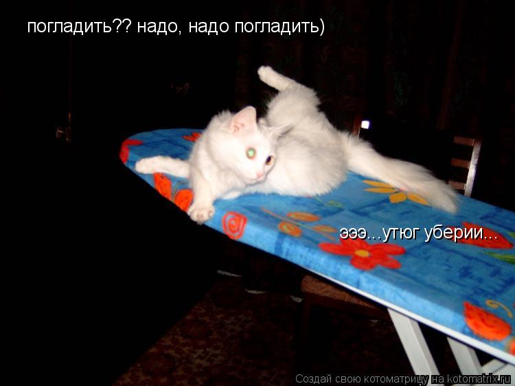 Котоматрица: погладить?? надо, надо погладить) эээ...утюг уберии...