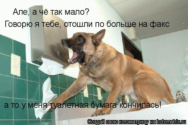Котоматрица: Але, а чё так мало? Говорю я тебе, отошли по больше на факс а то у меня туалетная бумага кончилась!
