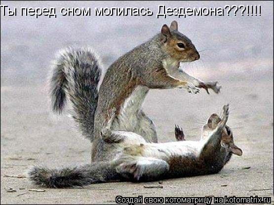 Котоматрица: Ты перед сном молилась Дездемона???!!!!