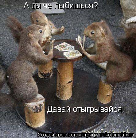 Котоматрица: А ты че лыбишься? Давай отыгрывайся!
