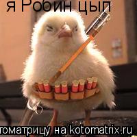 я Робин цып... Котоматрица: я Робин цып