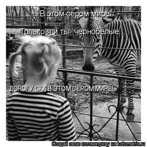 Котоматрица: В этом сером мире... Только я и ты- чёрнобелые... ДОРОГУ СКА В ЭТОМ СЕРОМ МИРЕ!