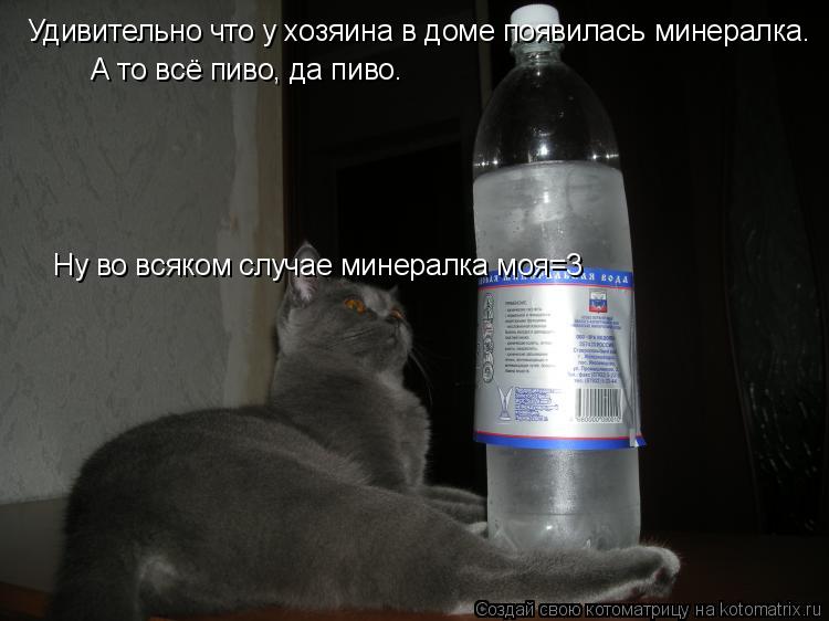 Удивительно что у хозяина в доме появилась минералка. А то всё пиво, да пиво. Ну во всяком случае мин... Котоматрица: Удивительно что у хозяина в доме появилась минералка. А то всё пиво, да пиво. Ну во всяком случае минералка моя=3