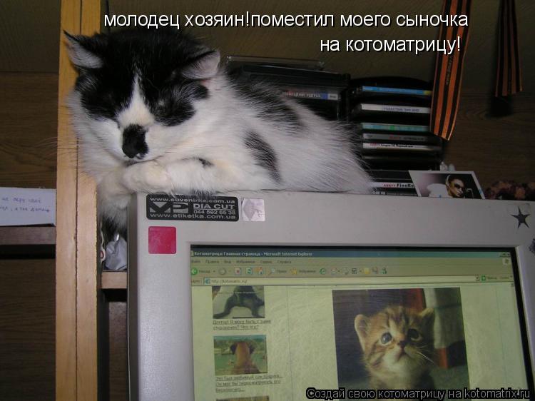 молодец хозяин!поместил моего сыночка на котоматрицу!... Котоматрица: молодец хозяин!поместил моего сыночка на котоматрицу!