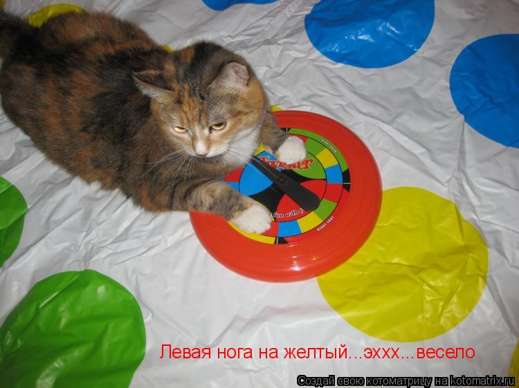 Левая нога на желтый...эххх...весело... Котоматрица: Левая нога на желтый...эххх...весело