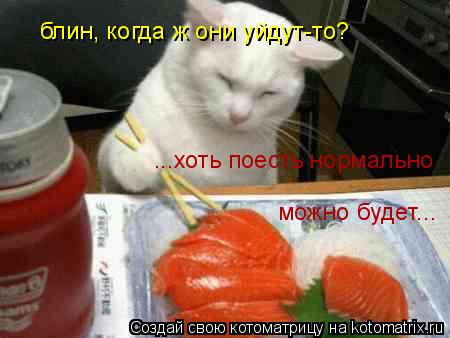 ...хоть поесть нормально можно будет... блин, когда ж они уйдут-то?... Котоматрица: ...хоть поесть нормально можно будет... блин, когда ж они уйдут-то?