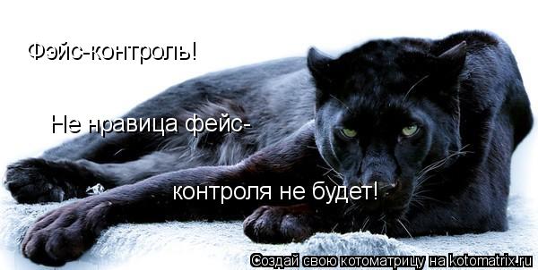 Котоматрица: Фэйс-контроль! Не нравица фейс- контроля не будет!