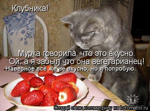 Клубника! Мурка говорила, что это вкусно. Ой, а я забыл что она вегетарианец! Наверное всё же не вкус... Котоматрица: Клубника! Мурка говорила, что это вкусно. Ой, а я забыл что она вегетарианец! Наверное всё же не вкусно, но я попробую.