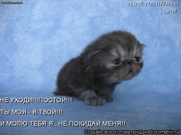 Котоматрица: И МОЛЮ ТЕБЯ Я...НЕ ПОКИДАЙ МЕНЯ!! НЕ УХОДИ!!!ПОСТОЙ!!! ТЫ МОЯ - Я ТВОЙ!!! I LOVE YOU NATALI !!! La1sT