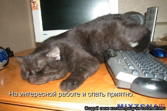 На интересной работе и спать приятно.... Котоматрица: На интересной работе и спать приятно.