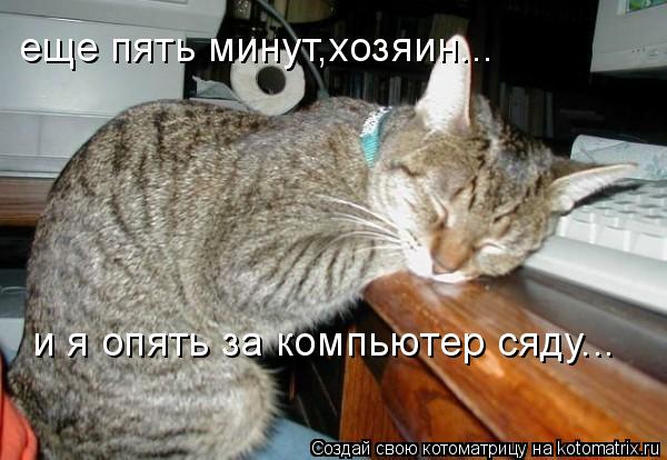 еще пять минут,хозяин... и я опять за компьютер сяду...... Котоматрица: еще пять минут,хозяин... и я опять за компьютер сяду...