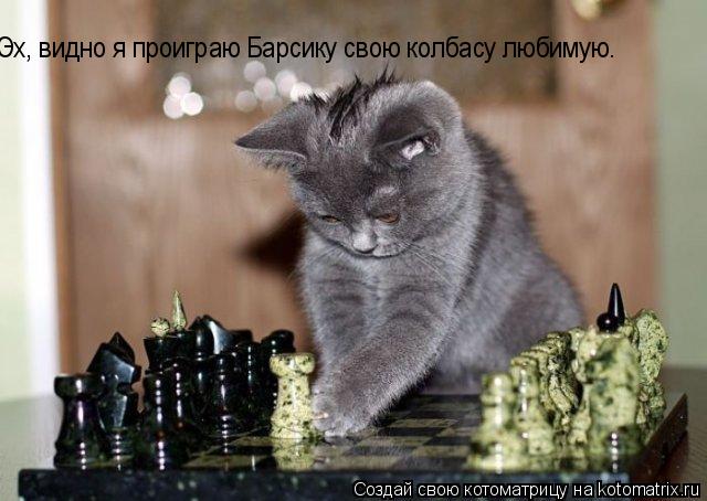 Котоматрица: Эх, видно я проиграю Барсику свою колбасу любимую.
