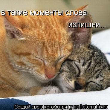 Котоматрица: в такие моменты слова  излишни...