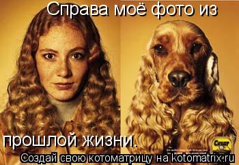 Котоматрица: Справа моё фото из  прошлой жизни.