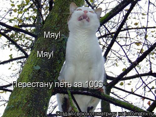 Перестану петь за 100$ Мяу! Мяу!... Котоматрица: Перестану петь за 100$ Мяу! Мяу!