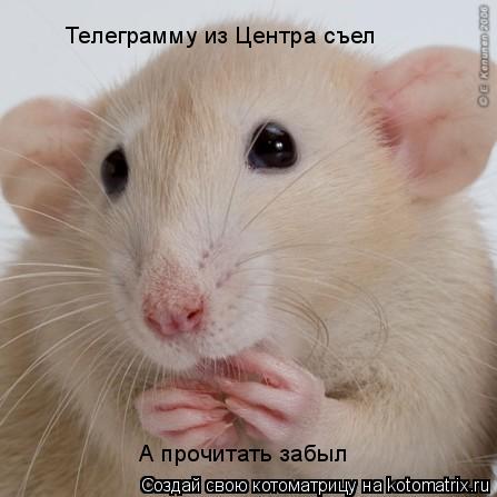 А прочитать забыл Телеграмму из Центра съел... Котоматрица: А прочитать забыл Телеграмму из Центра съел