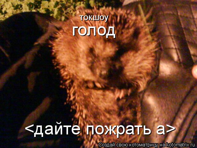 Котоматрица: токшоу голод <дайте пожрать а>