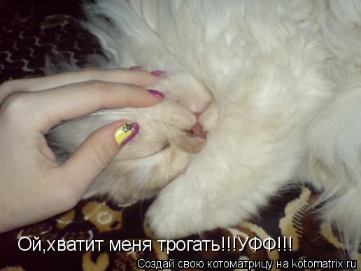 Ой,хватит меня трогать!!!УФФ!!!... Котоматрица: Ой,хватит меня трогать!!!УФФ!!!