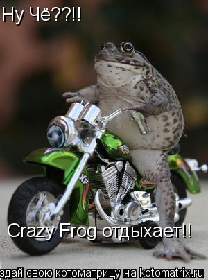Котоматрица: Ну Чё??!! Crazy Frog отдыхает!!