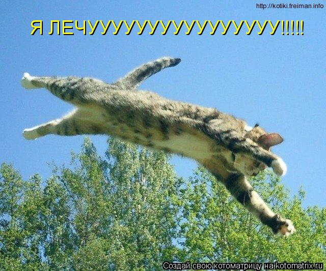 Котоматрица: Я ЛЕЧУУУУУУУУУУУУУУУУ!!!!!