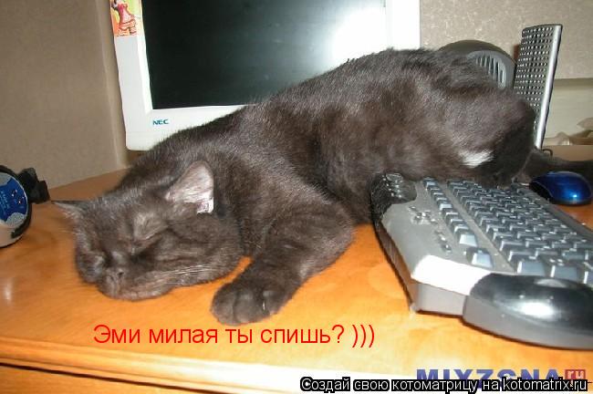 Котоматрица: Эми милая ты спишь? )))