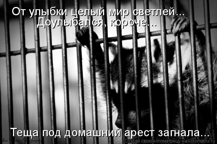 Котоматрица: От улыбки целый мир светлей... Доулыбался, короче... Теща под домашний арест загнала...