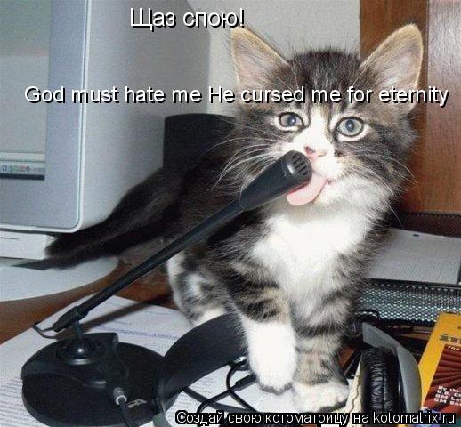 Щаз спою! God must hate me He cursed me for eternity... Котоматрица: Щаз спою! God must hate me He cursed me for eternity