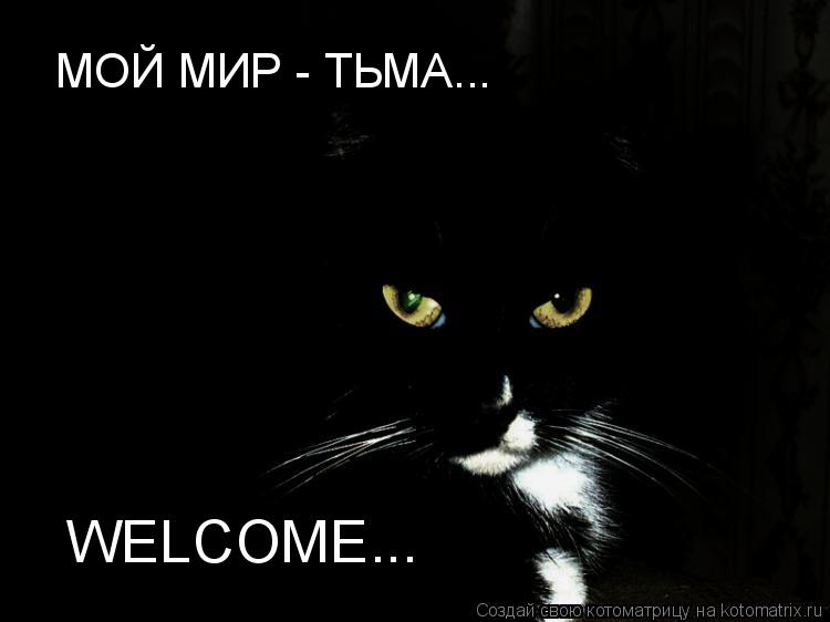 Котоматрица: МОЙ МИР - ТЬМА... WELCOME... WELCOME...