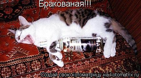 Котоматрица: Бракованая!!!