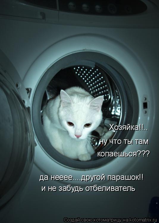 Котоматрица: Хозяйка!!.. ну что ты там  да нееее....другой парашок!! и не забудь отбеливатель копаешься???