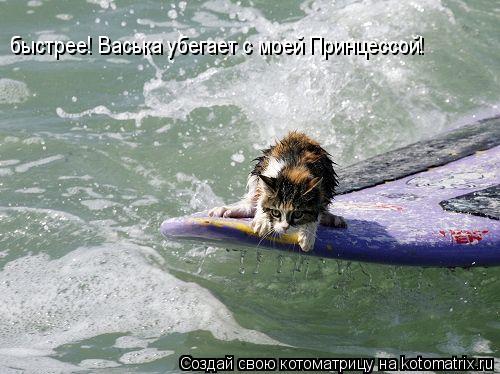 быстрее! Васька убегает с моей Принцессой!... Котоматрица: быстрее! Васька убегает с моей Принцессой!
