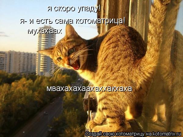 я скоро упаду! я- и есть сама котоматрица! мухахаах мвахахахаахаххакхаха... Котоматрица: я скоро упаду! я- и есть сама котоматрица! мухахаах мвахахахаахаххакхаха