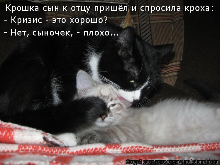 Котоматрица: Крошка сын к отцу пришёл и спросила кроха: - Кризис - это хорошо? - Нет, сыночек, - плохо...