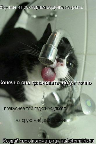 Котоматрица: Вкусная и прохладная водичка из крана. Конечно она грязновата, но уж точно повкуснее той гадкой жидкости  которую мне даёт хозяин