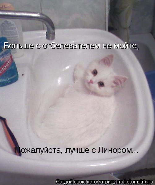 Больше с отбелевателем не мойте, Пожалуйста, лучше с Линором...... Котоматрица: Больше с отбелевателем не мойте, Пожалуйста, лучше с Линором...