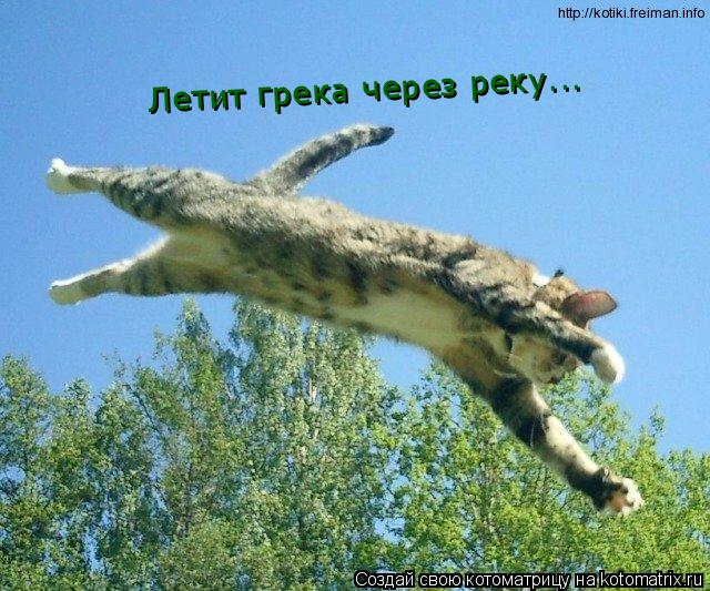 Летит грека через реку...... Котоматрица: Летит грека через реку...