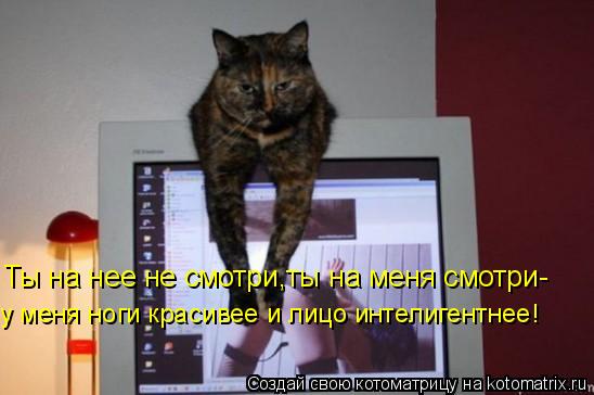 Ты на нее не смотри,ты на меня смотри- у меня ноги красивее и лицо интелигентнее!... Котоматрица: Ты на нее не смотри,ты на меня смотри- у меня ноги красивее и лицо интелигентнее!