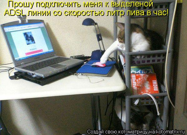 Прошу подключить меня к выделеной ADSL линии со скоростью литр пива в час!... Котоматрица: Прошу подключить меня к выделеной ADSL линии со скоростью литр пива в час!