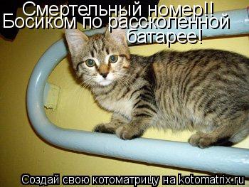 Смертельный номер!! Босиком по рассколенной батарее!... Котоматрица: Смертельный номер!! Босиком по рассколенной батарее!
