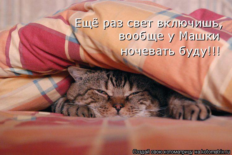 Ещё раз свет включишь, вообще у Машки ночевать буду!!!... Котоматрица: Ещё раз свет включишь, вообще у Машки ночевать буду!!!