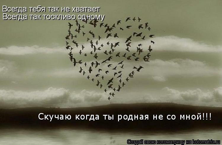 Котоматрица: Всегда тебя так не хватает Всегда так тоскливо одному Скучаю когда ты родная не со мной!!!
