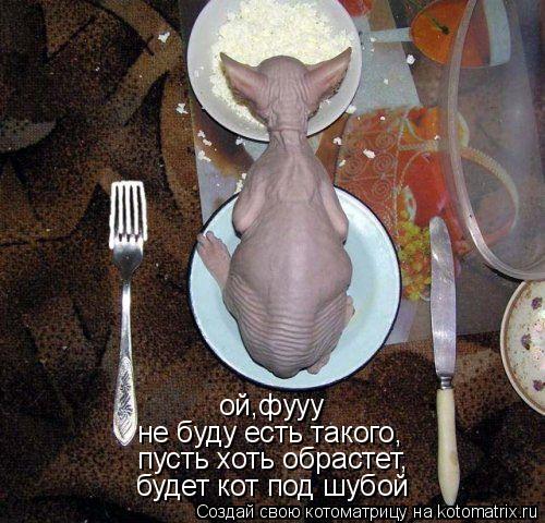 ой,фууу не буду есть такого, пусть хоть обрастет, будет кот под шубой... Котоматрица: ой,фууу не буду есть такого, пусть хоть обрастет, будет кот под шубой