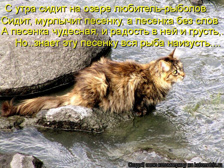 А песенка чудесная, и радость в ней и грусть,... Но..знает эту песенку вся рыба наизусть.... С утра с... Котоматрица: А песенка чудесная, и радость в ней и грусть,... Но..знает эту песенку вся рыба наизусть.... С утра сидит на озере любитель-рыболов Сидит, мурлыч