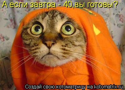 Котоматрица: А если завтра - 40,вы готовы?