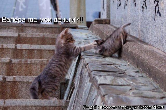 Валера где мои деньги?!!... Котоматрица: Валера где мои деньги?!!