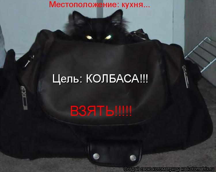 Цель: КОЛБАСА!!! Местоположение: кухня... ВЗЯТЬ!!!!!... Котоматрица: Цель: КОЛБАСА!!! Местоположение: кухня... ВЗЯТЬ!!!!!