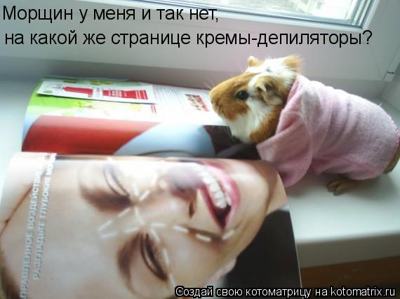 Морщин у меня и так нет, на какой же странице кремы-депиляторы?... Котоматрица: Морщин у меня и так нет, на какой же странице кремы-депиляторы?