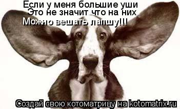 Котоматрица: Если у меня большие уши Это не значит что на них Можно вешать лапшу!!!
