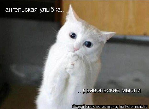 Котоматрица: ангельская улыбка... ...дьявольские мысли