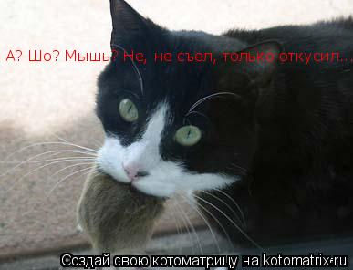 А? Шо? Мышь? Не, не съел, только откусил...... Котоматрица: А? Шо? Мышь? Не, не съел, только откусил...